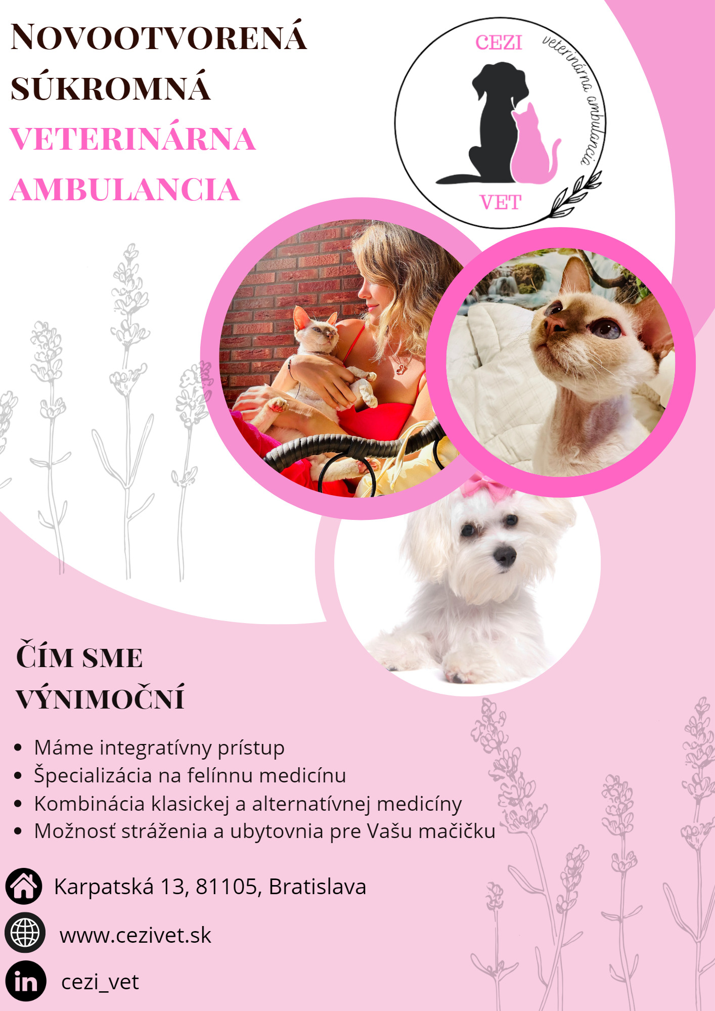 Leták pre veterinárnu ambulanciu